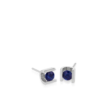 Load image into Gallery viewer, Uturn Gemstone Stud Earrings