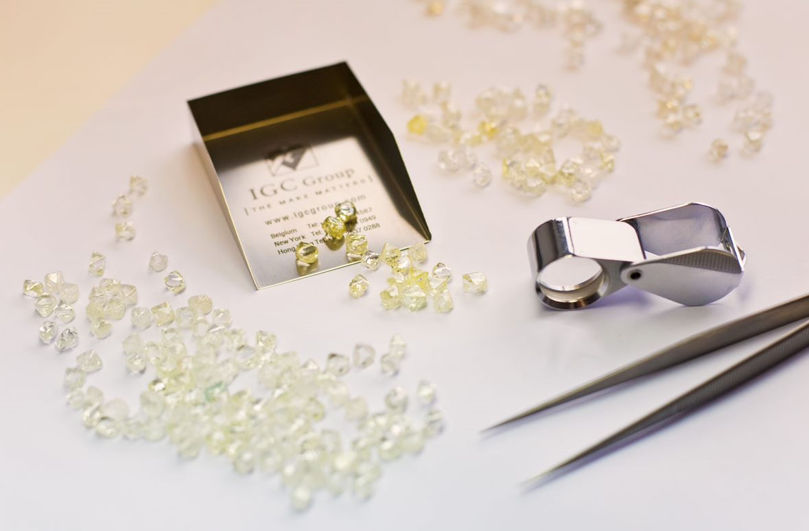 Banner for the this Episode